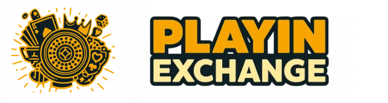 PlayInExch Logo